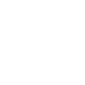 icon-portfolio-white